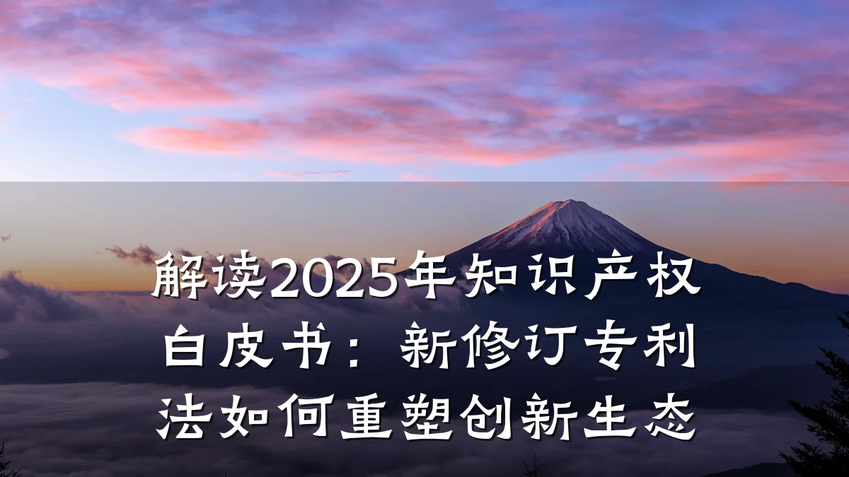 解读2025年知识产权白皮书：新修订专利法如何重塑创新生态