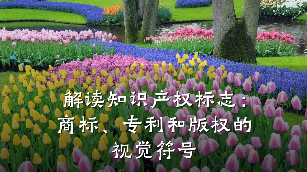 解读知识产权标志:商标、专利和版权的视觉符号