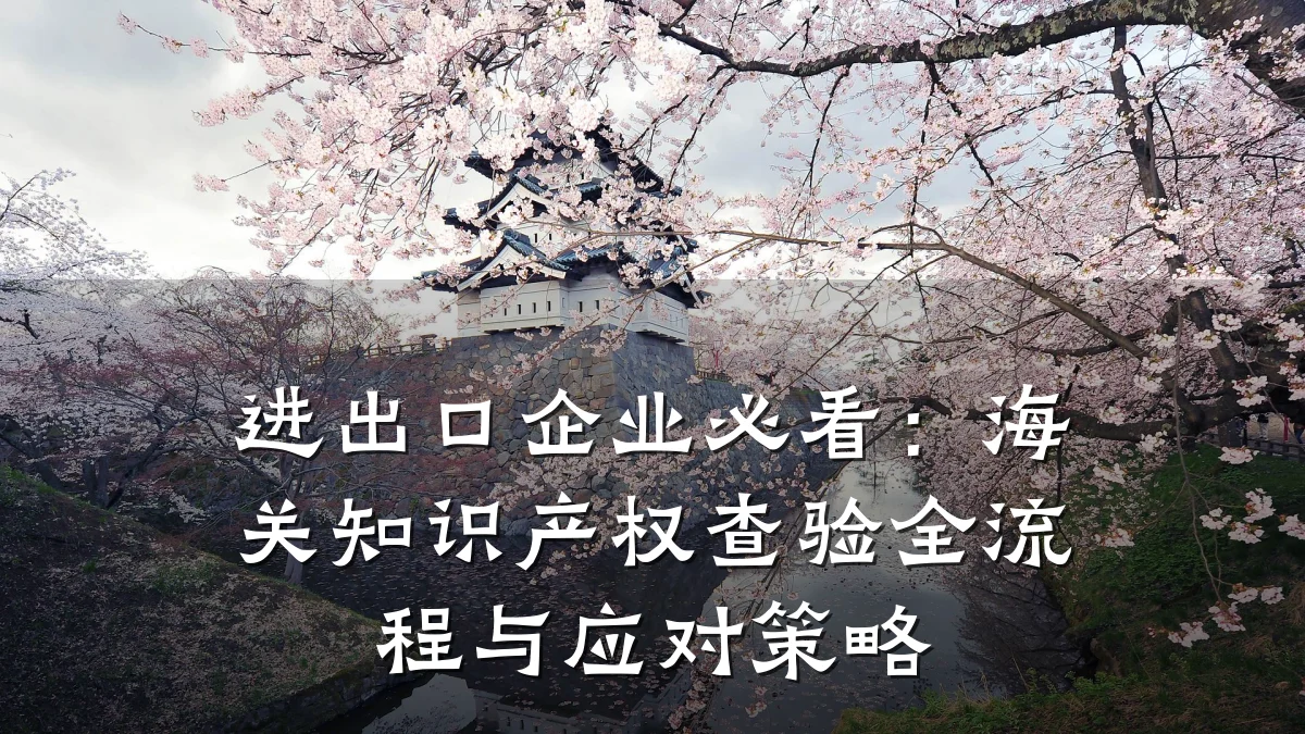 进出口企业必看：海关知识产权查验全流程与应对策略
