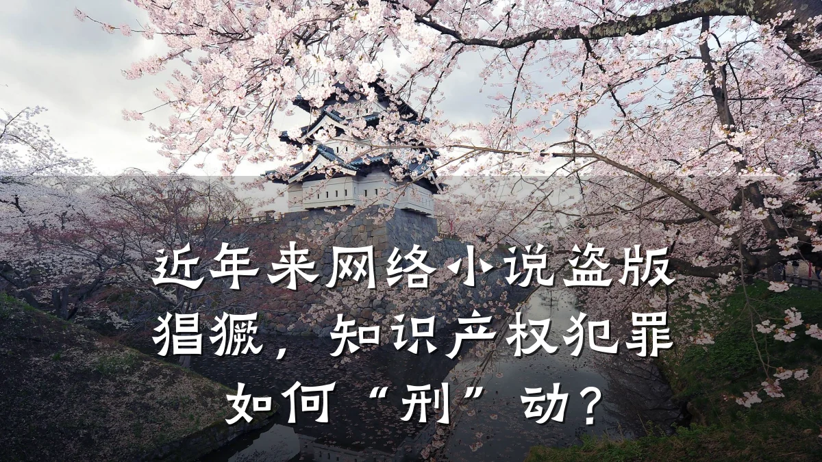 近年来网络小说盗版猖獗，知识产权犯罪如何“刑”动？