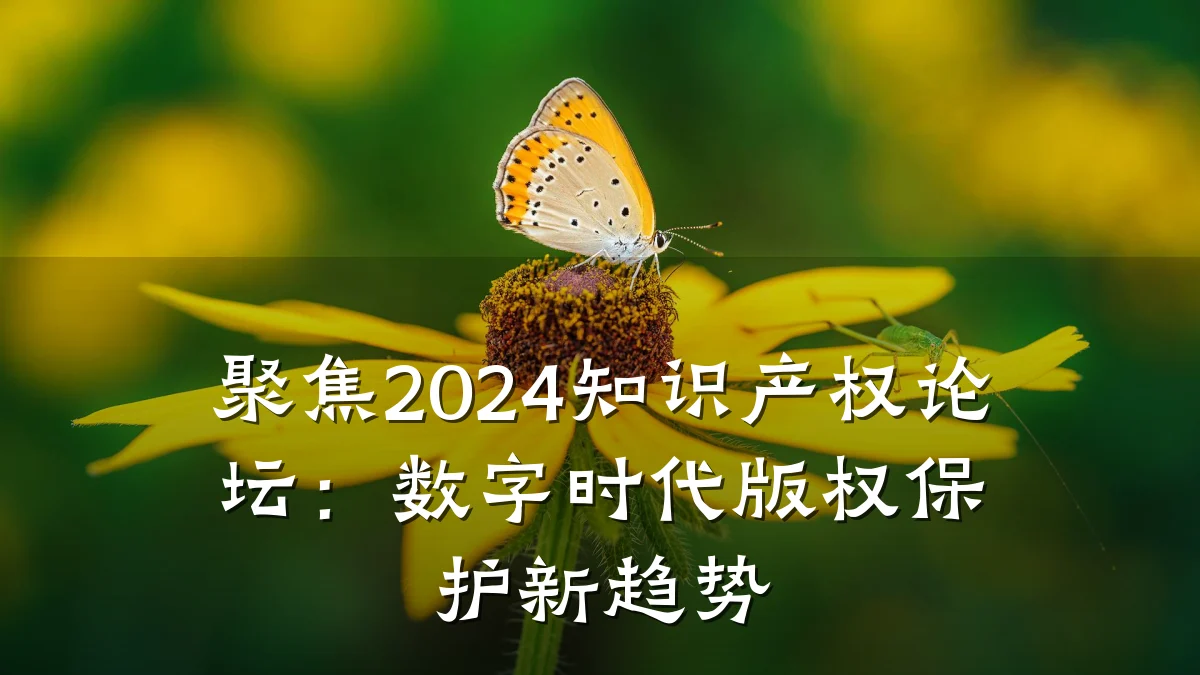 聚焦2024知识产权论坛：数字时代版权保护新趋势
