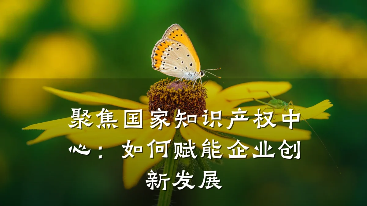 聚焦国家知识产权中心：如何赋能企业创新发展