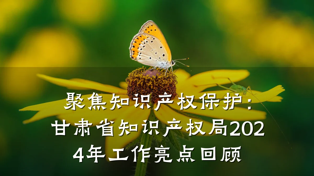 聚焦知识产权保护：甘肃省知识产权局2024年工作亮点回顾