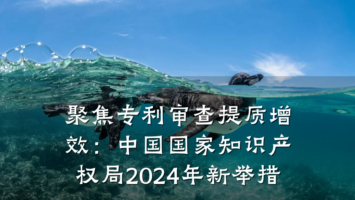 聚焦专利审查提质增效：中国国家知识产权局2024年新举措