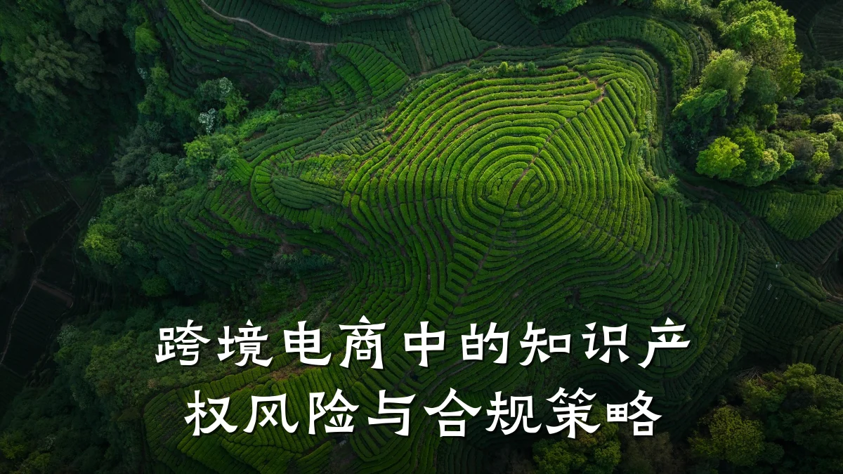 跨境电商中的知识产权风险与合规策略