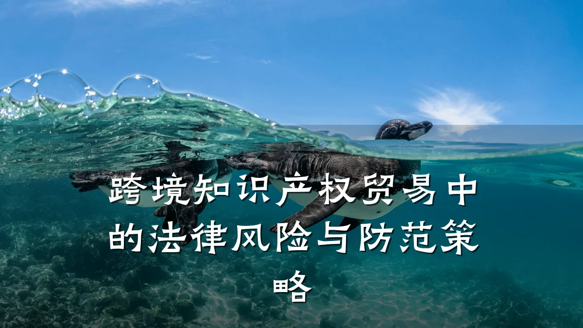 跨境知识产权贸易中的法律风险与防范策略