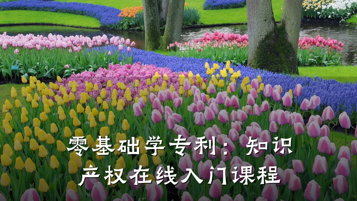 零基础学专利：知识产权在线入门课程