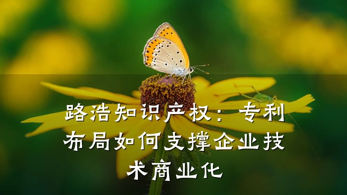 路浩知识产权：专利布局如何支撑企业技术商业化