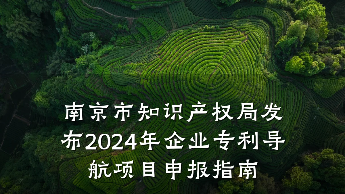 南京市知识产权局发布2024年企业专利导航项目申报指南