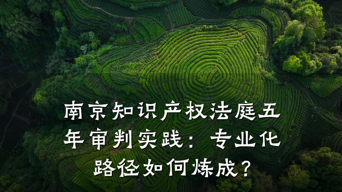 南京知识产权法庭五年审判实践:专业化路径如何炼成?