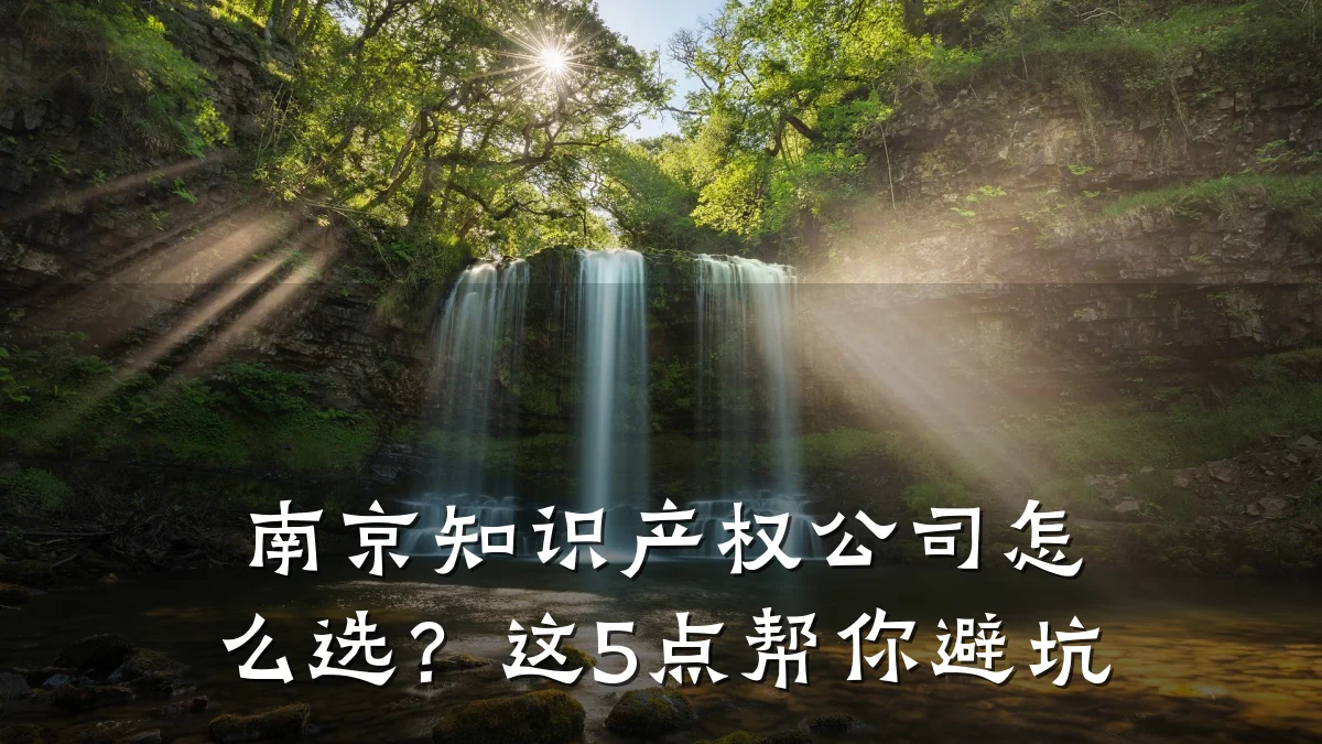 南京知识产权公司怎么选？这5点帮你避坑