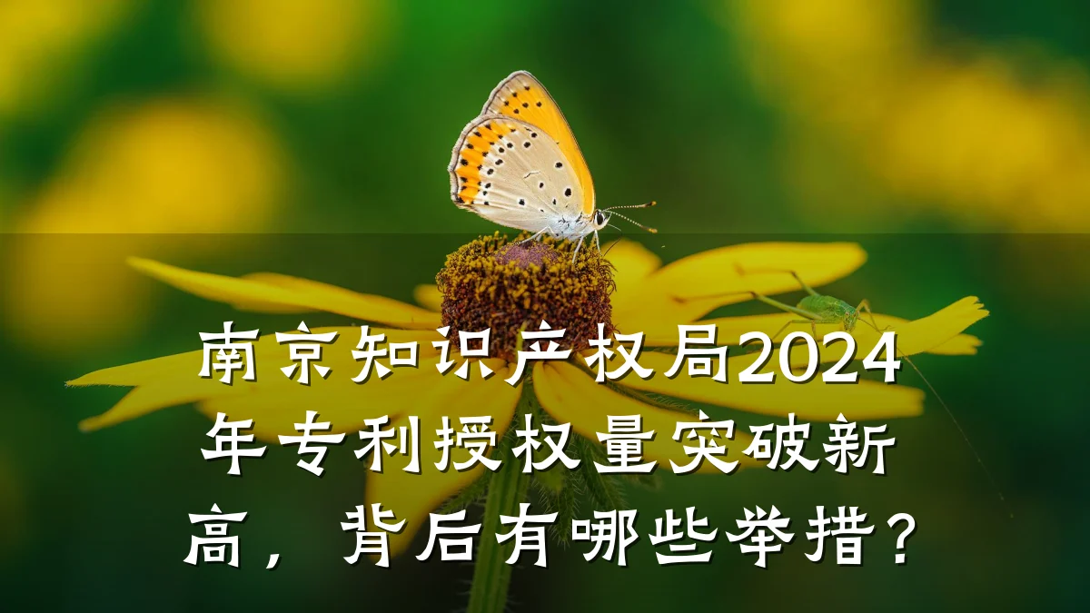 南京知识产权局2024年专利授权量突破新高，背后有哪些举措？