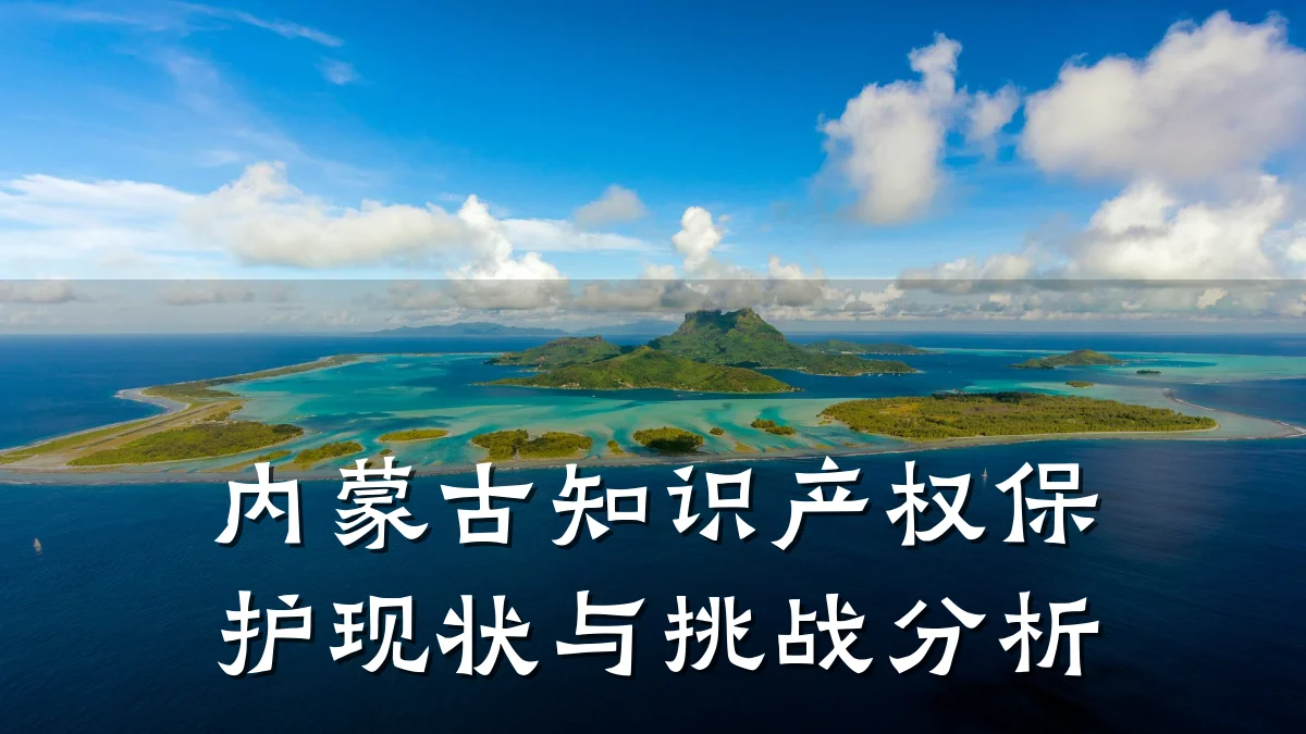 内蒙古知识产权保护现状与挑战分析