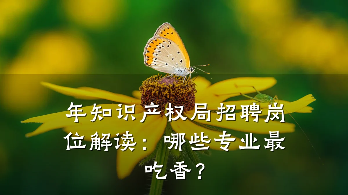 年知识产权局招聘岗位解读:哪些专业最吃香?
