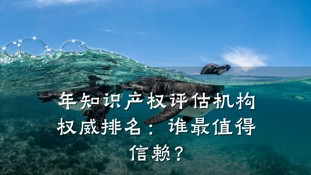 年知识产权评估机构权威排名：谁最值得信赖？