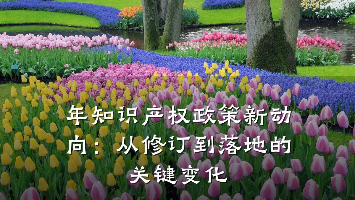 年知识产权政策新动向:从修订到落地的关键变化