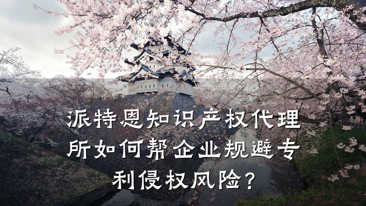 派特恩知识产权代理所如何帮企业规避专利侵权风险?