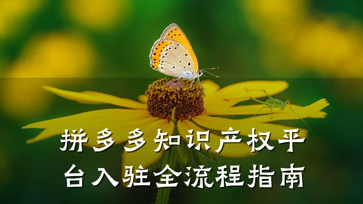 拼多多知识产权平台入驻全流程指南