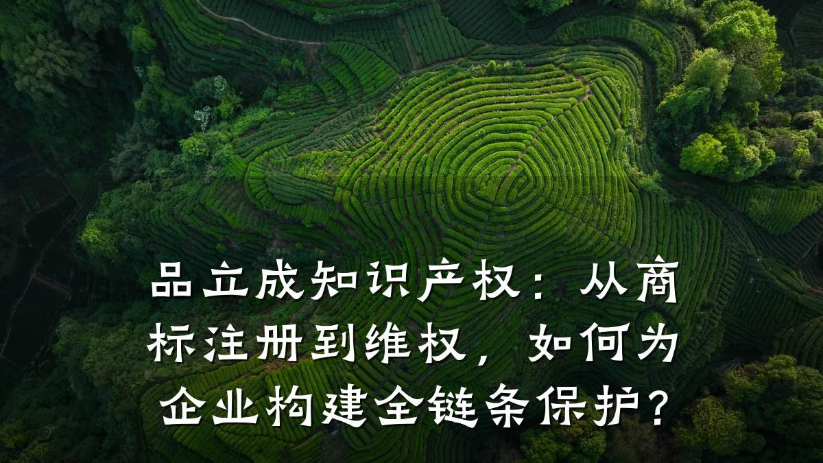 品立成知识产权：从商标注册到维权，如何为企业构建全链条保护？