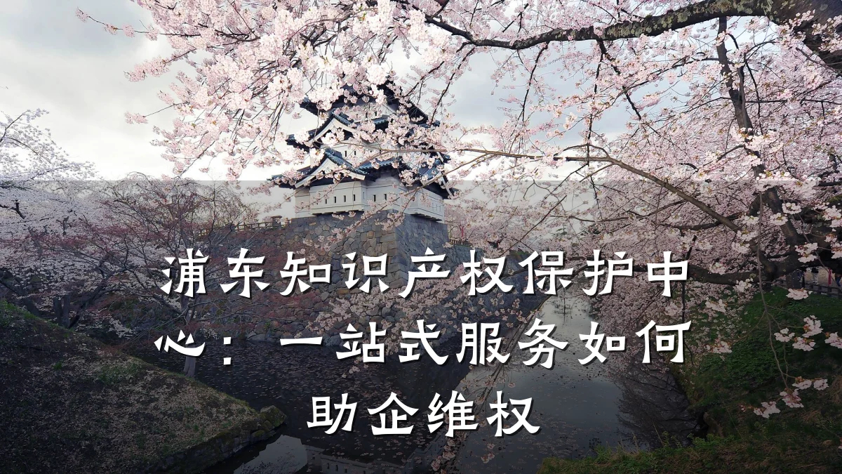浦东知识产权保护中心：一站式服务如何助企维权