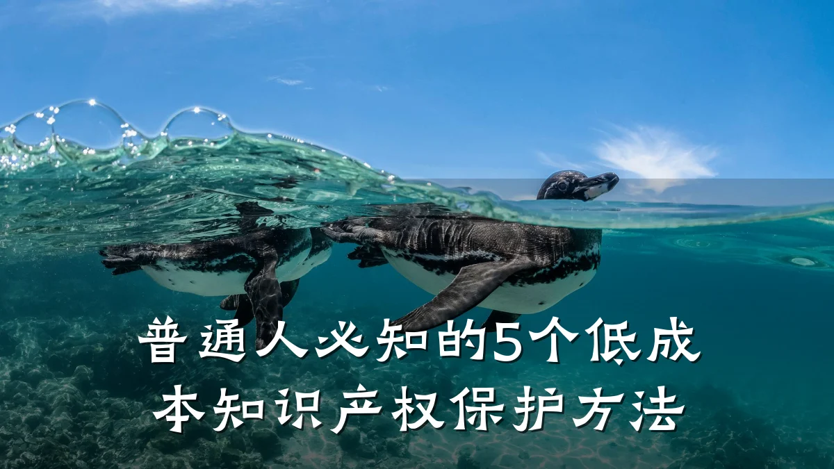 普通人必知的5个低成本知识产权保护方法