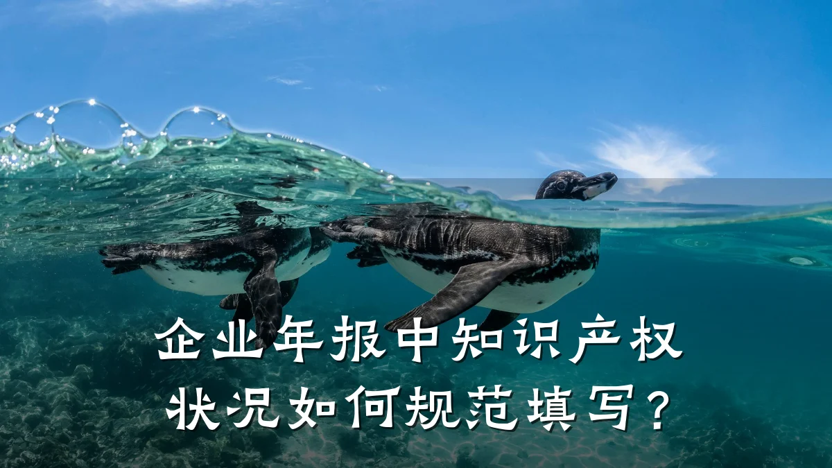 企业年报中知识产权状况如何规范填写？