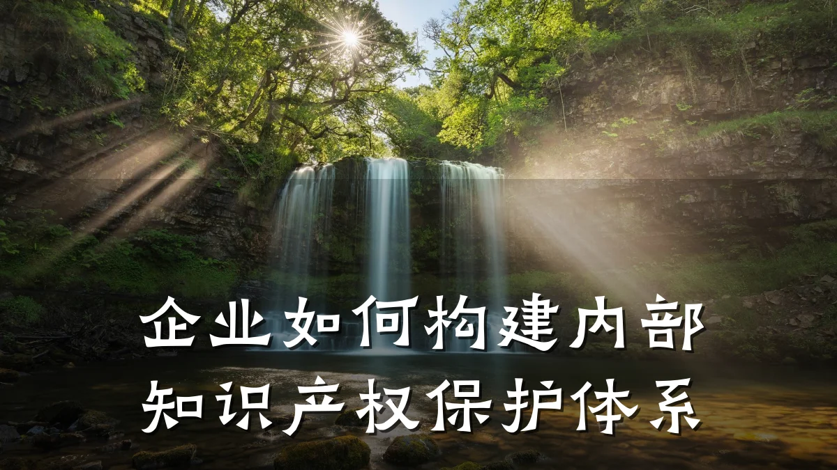 企业如何构建内部知识产权保护体系