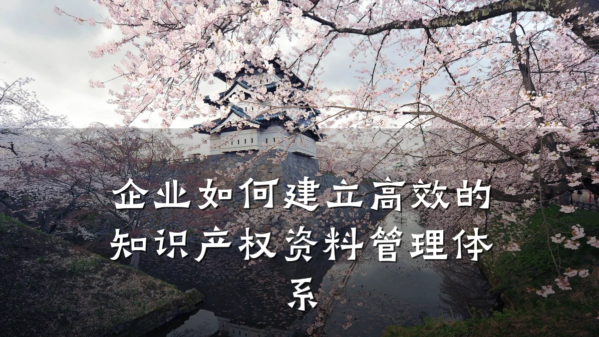 企业如何建立高效的知识产权资料管理体系