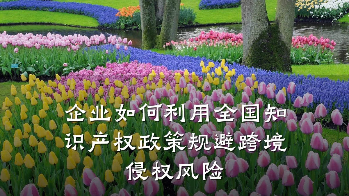 企业如何利用全国知识产权政策规避跨境侵权风险