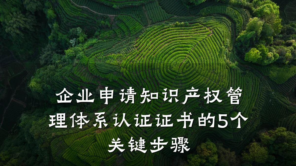 企业申请知识产权管理体系认证证书的5个关键步骤