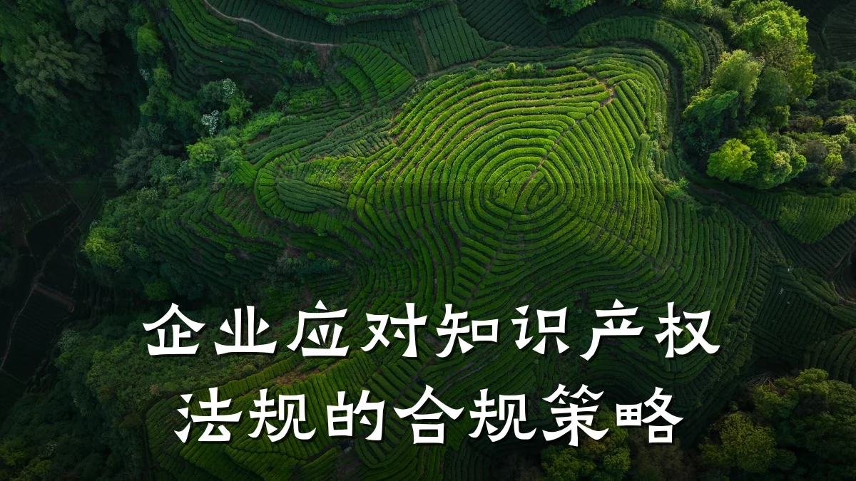 企业应对知识产权法规的合规策略