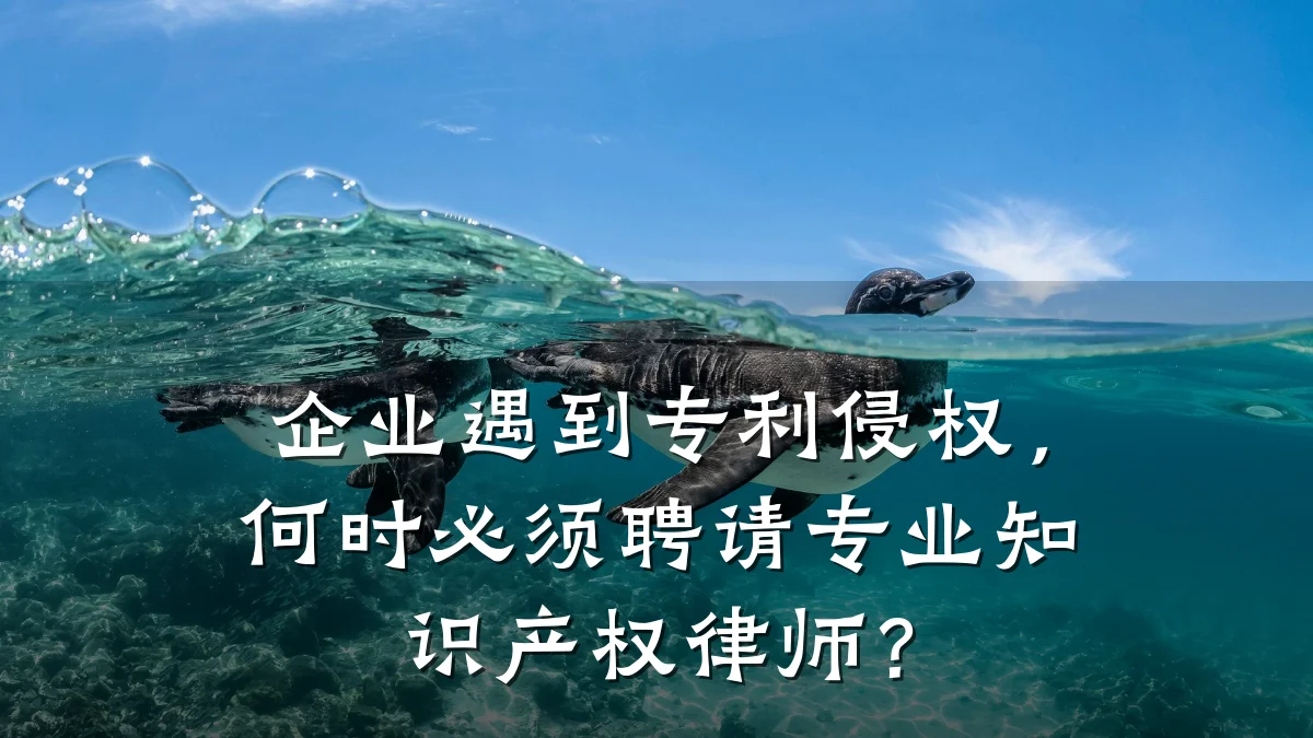企业遇到专利侵权，何时必须聘请专业知识产权律师？