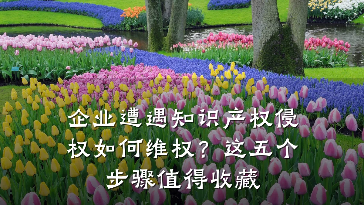 企业遭遇知识产权侵权如何维权?这五个步骤值得收藏