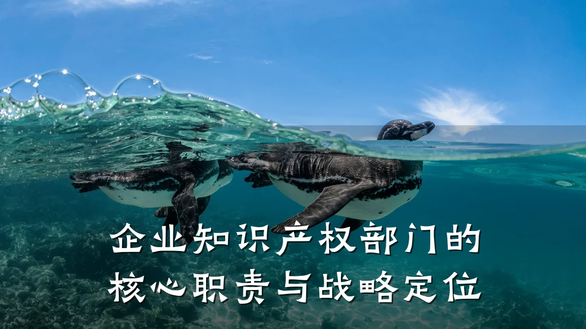 企业知识产权部门的核心职责与战略定位
