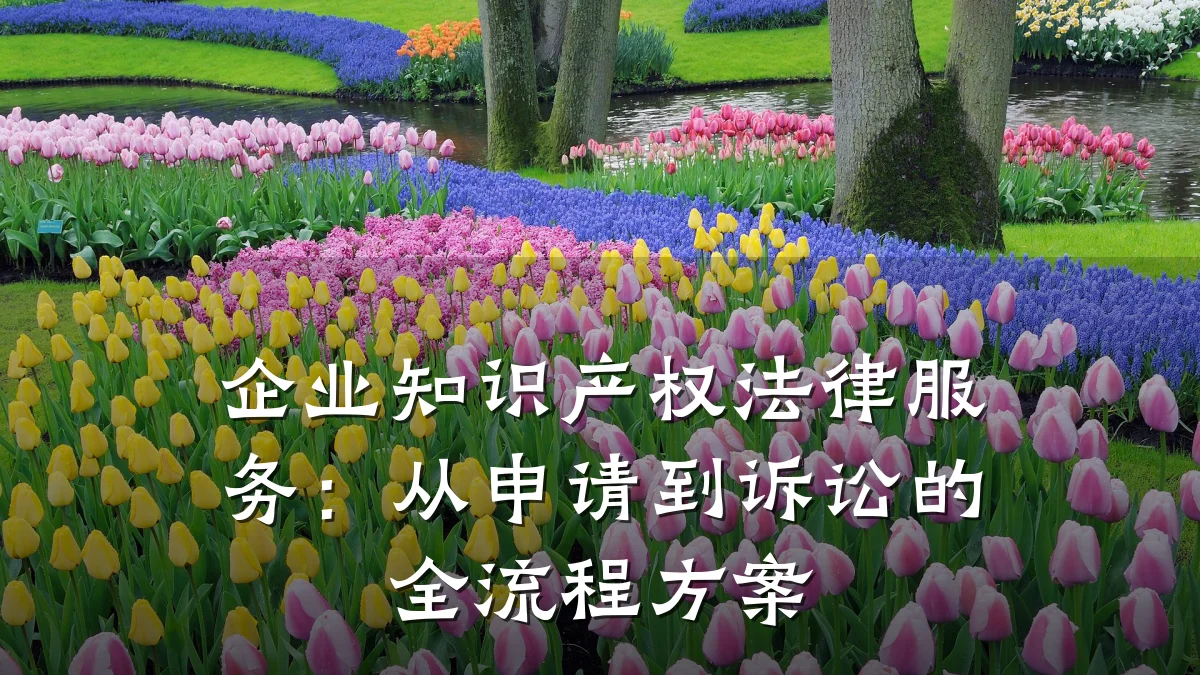 企业知识产权法律服务：从申请到诉讼的全流程方案