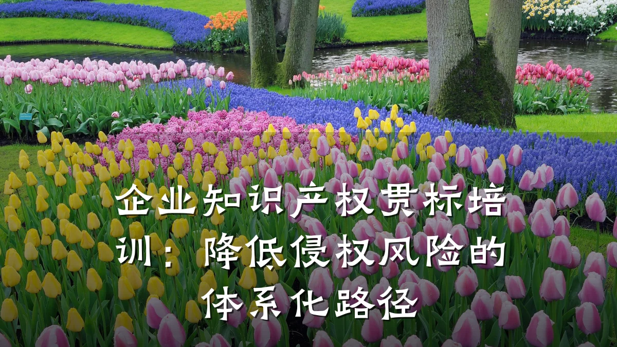 企业知识产权贯标培训：降低侵权风险的体系化路径