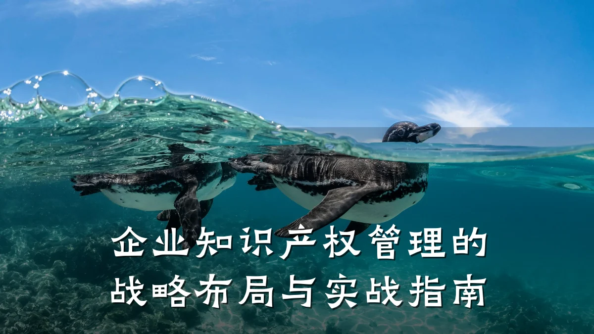 企业知识产权管理的战略布局与实战指南