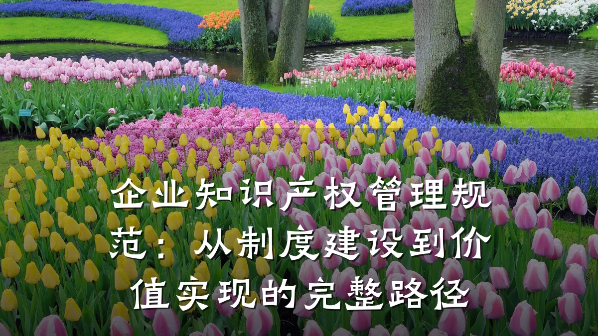 企业知识产权管理规范：从制度建设到价值实现的完整路径