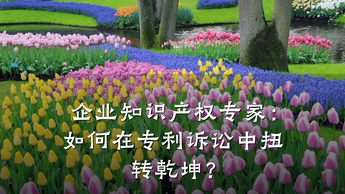 企业知识产权专家：如何在专利诉讼中扭转乾坤？