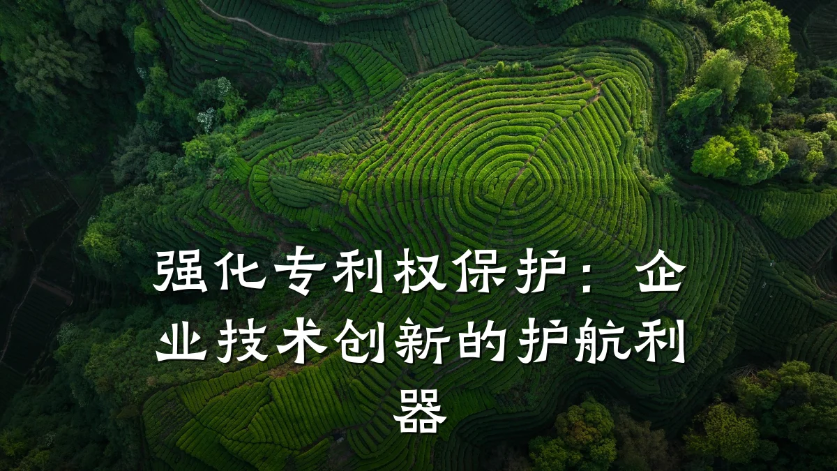 强化专利权保护:企业技术创新的护航利器