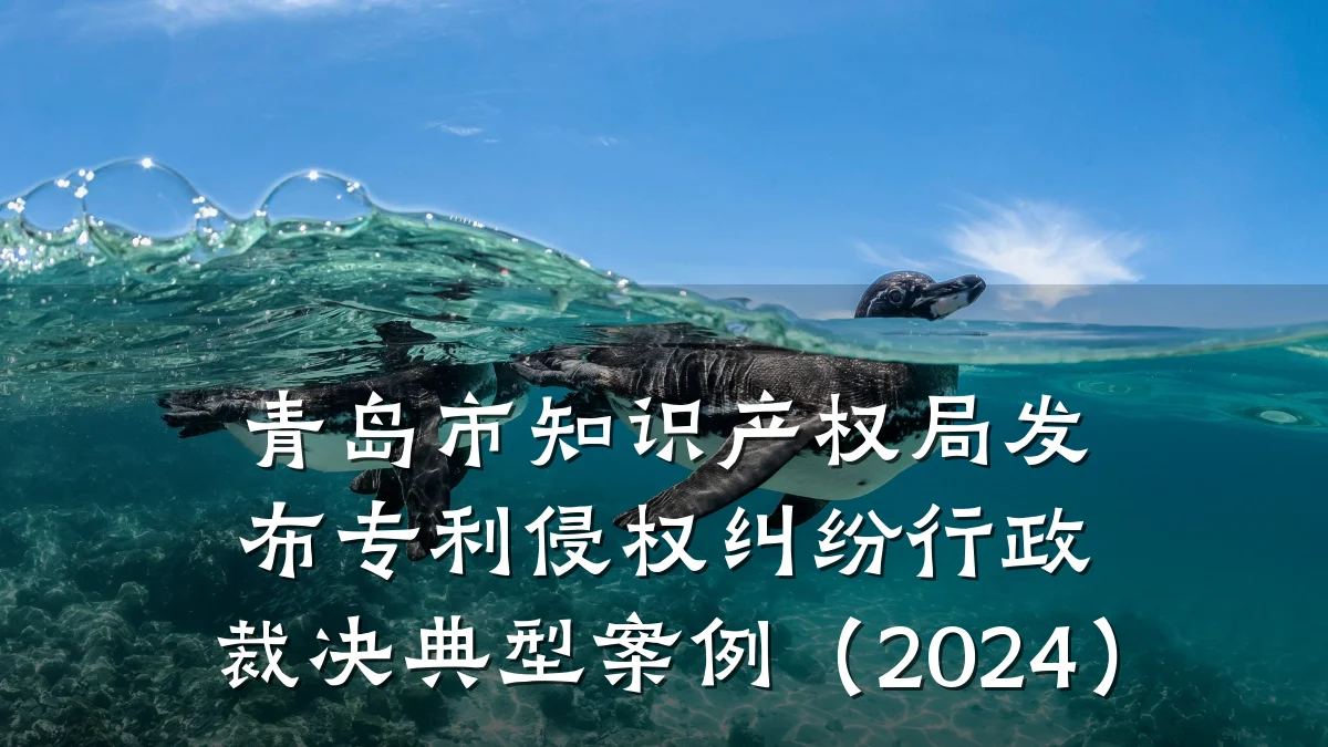 青岛市知识产权局发布专利侵权纠纷行政裁决典型案例（2024）