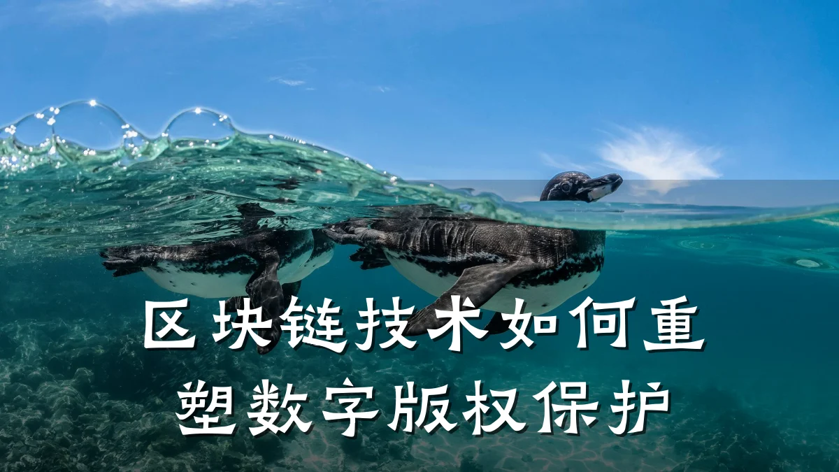 区块链技术如何重塑数字版权保护