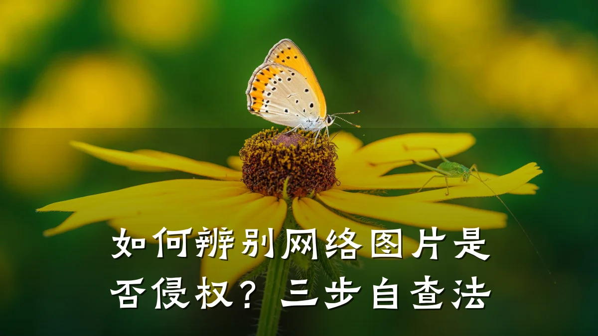 如何辨别网络图片是否侵权?三步自查法