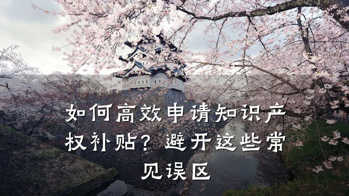 如何高效申请知识产权补贴？避开这些常见误区