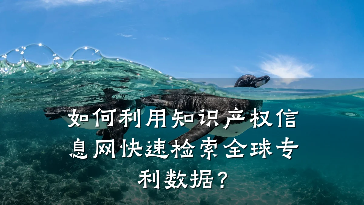 如何利用知识产权信息网快速检索全球专利数据？