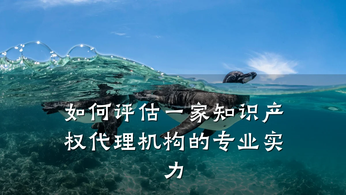 如何评估一家知识产权代理机构的专业实力