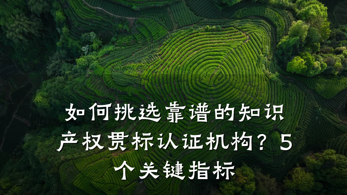 如何挑选靠谱的知识产权贯标认证机构？5个关键指标