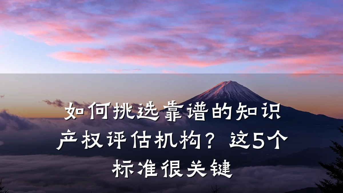 如何挑选靠谱的知识产权评估机构？这5个标准很关键