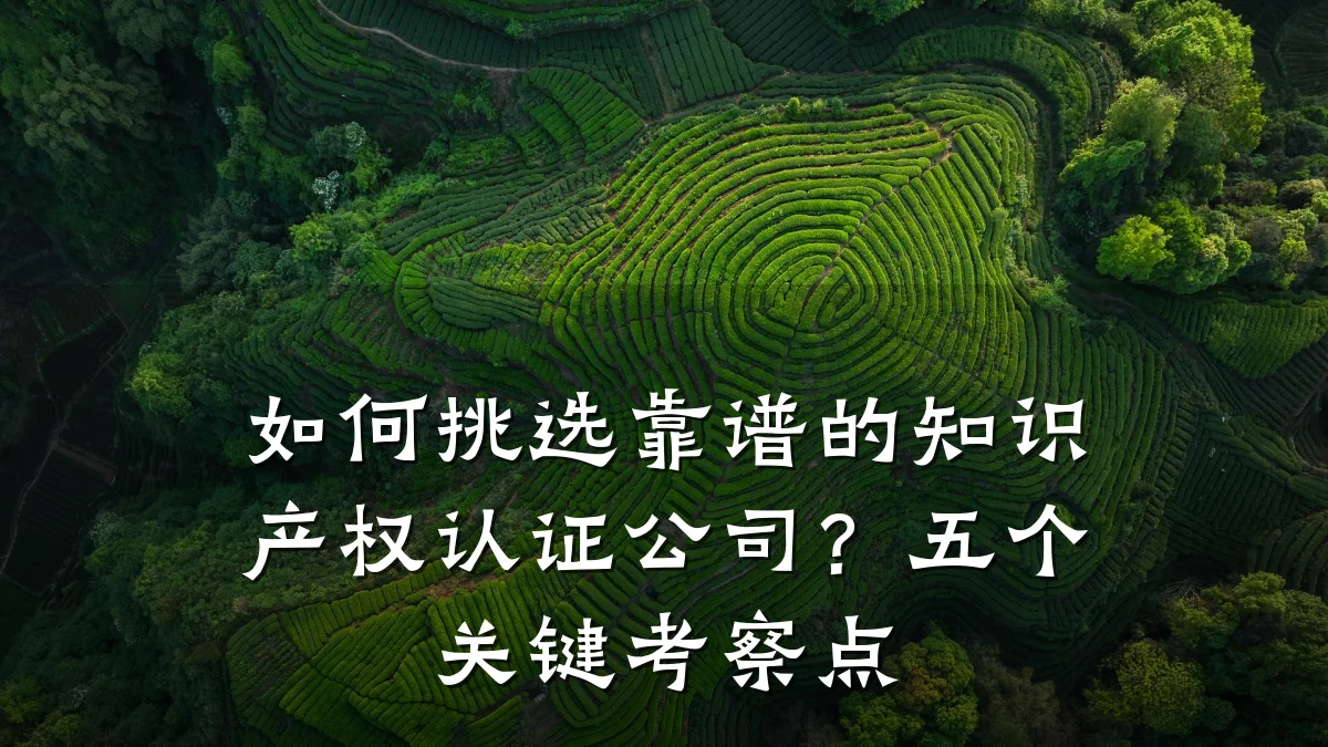 如何挑选靠谱的知识产权认证公司？五个关键考察点