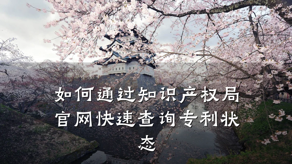 如何通过知识产权局官网快速查询专利状态